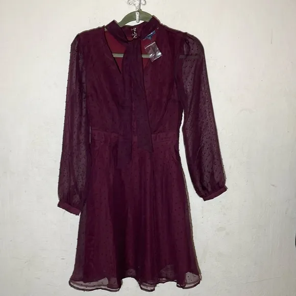 Modcloth Apogee of Elegance Swiss Dot Chiffon Plum Dress Size 2 NWOT