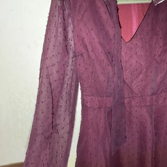 Modcloth Apogee of Elegance Swiss Dot Chiffon Plum Dress Size 2 NWOT