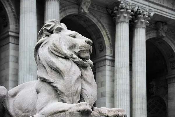 New York Lion - Art Print