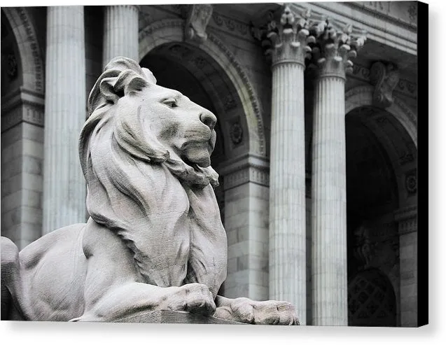 New York Lion - Canvas Print
