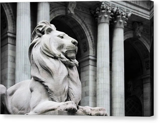 New York Lion - Canvas Print