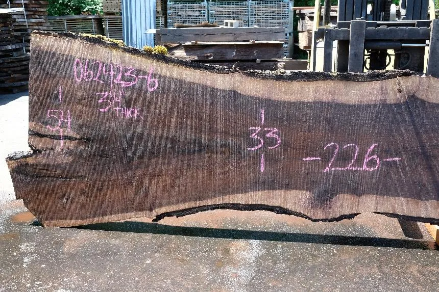 Oregon Black Walnut Slab 062423-06