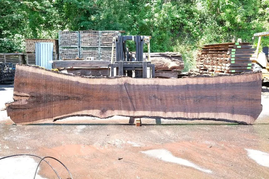 Oregon Black Walnut Slab 062423-06