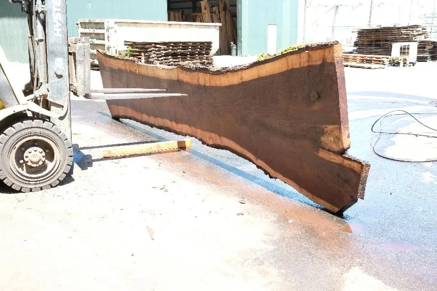 Oregon Black Walnut Slab 062423-06