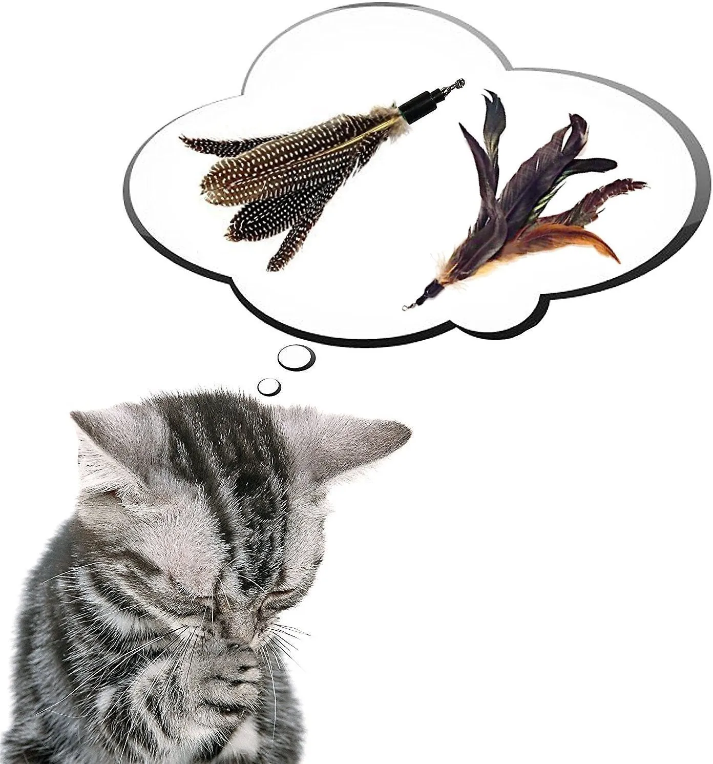Pet Fit For Life 2 Guinea Feather Wand Cat Toy