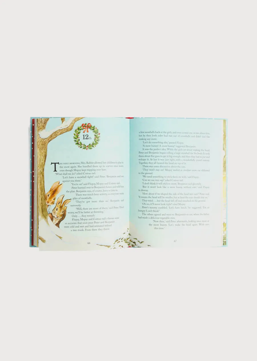 Peter Rabbit Christmas is Coming Book