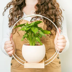 Plant Hanger (Light & Airy)