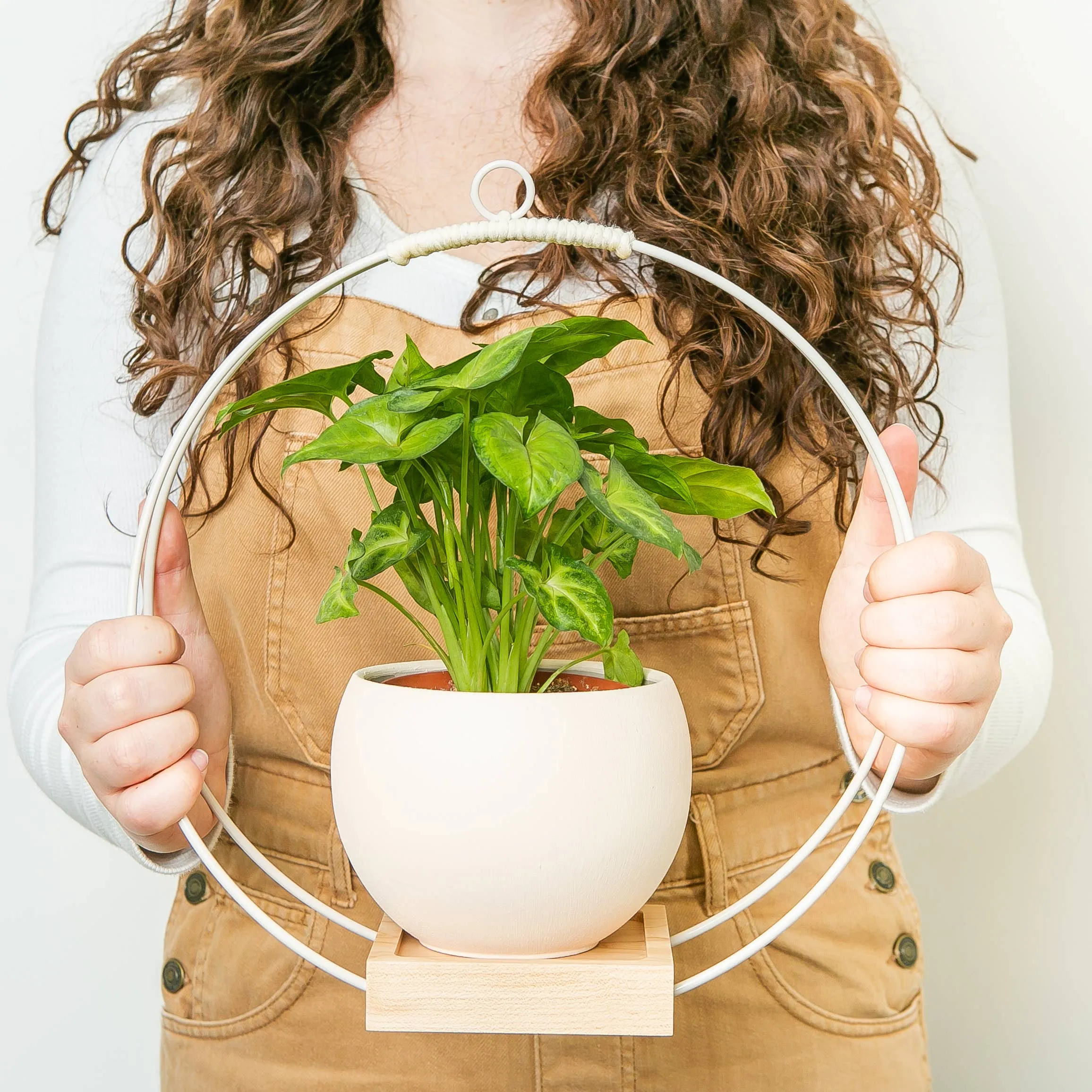 Plant Hanger (Light & Airy)