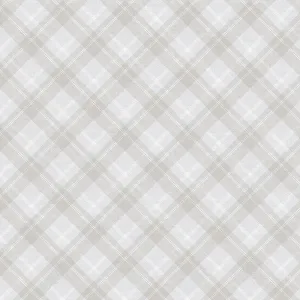 Playful Plaids Ash