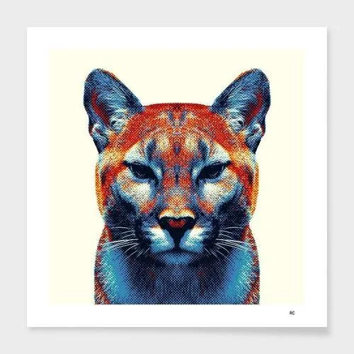 Puma - Colorful Animals  Frame