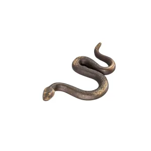 Rattlesnake