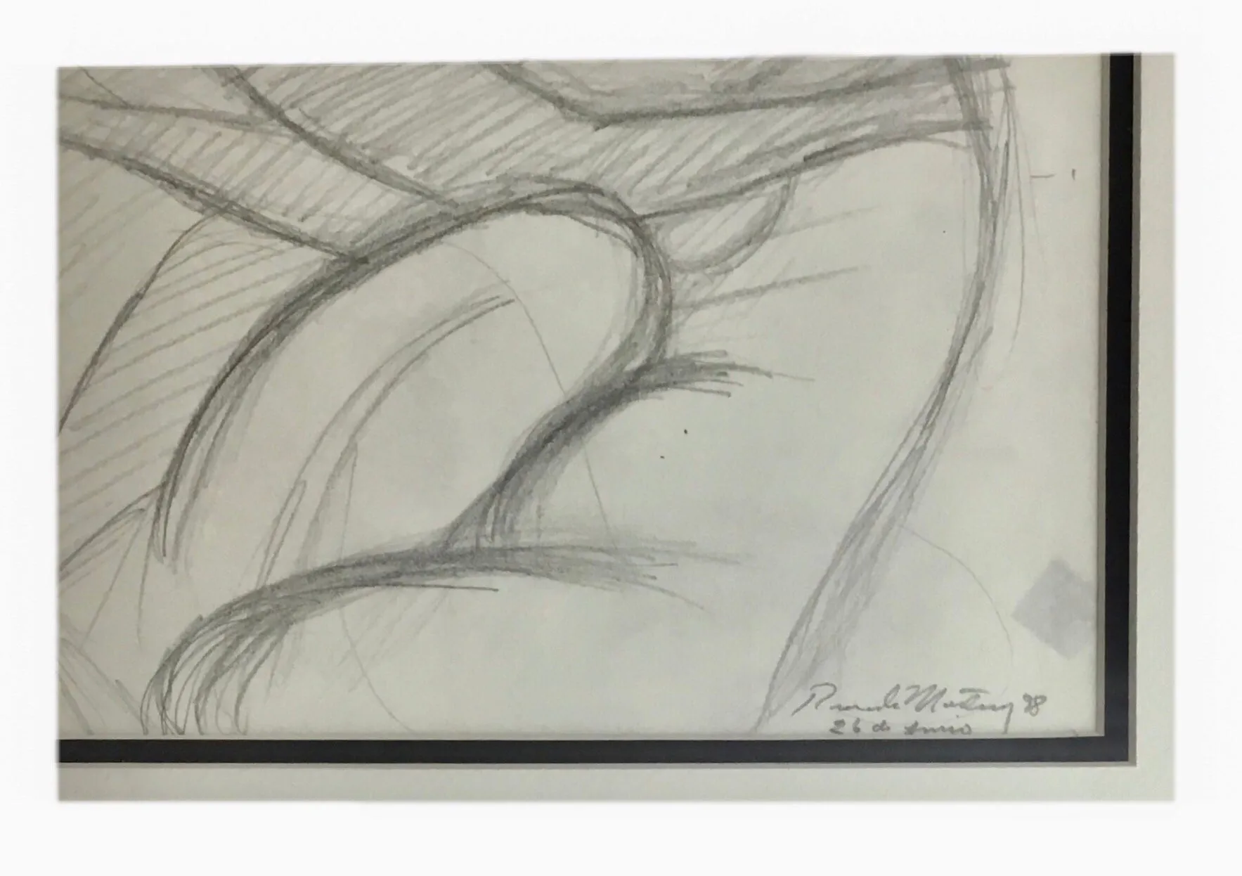 Ricardo Martinez Untitled
