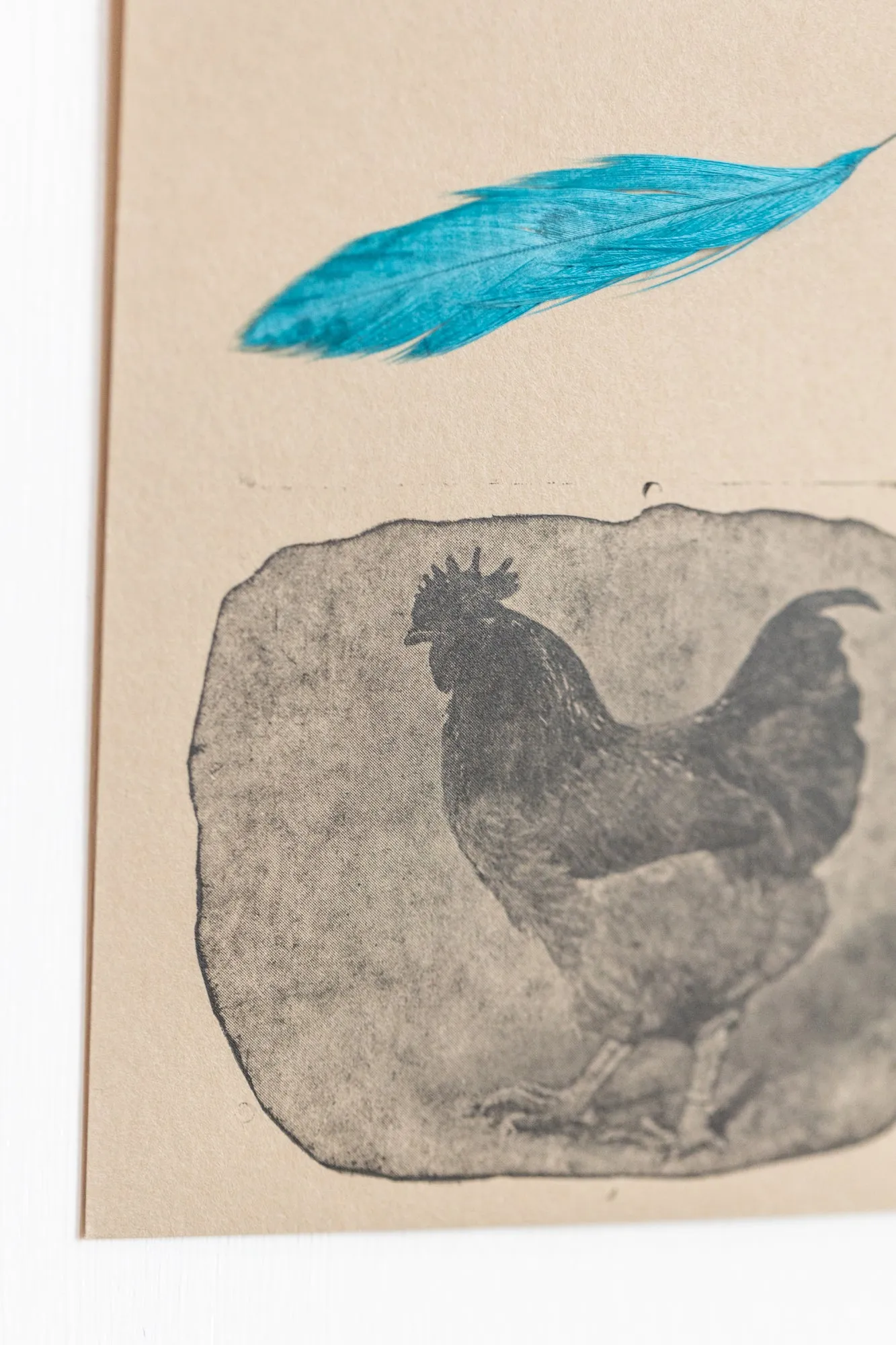 Rooster Totem (unframed)