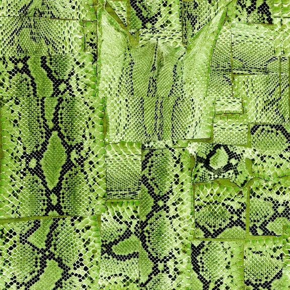 Serpentine, Spring
