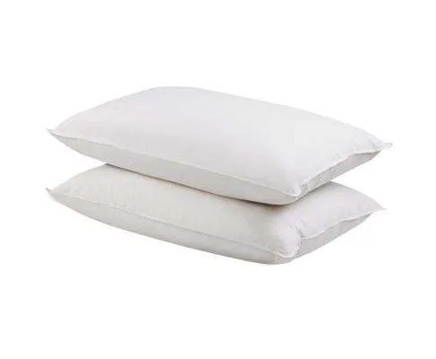 Set of 2 Duck Down Pillow - White
