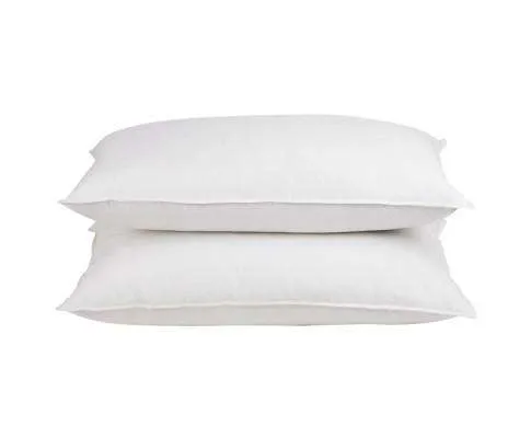 Set of 2 Goose Feather and Down Pillow - White