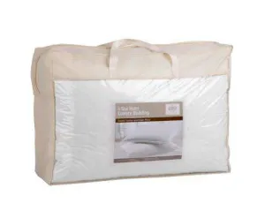 Set of 2 Goose Feather and Down Pillow - White