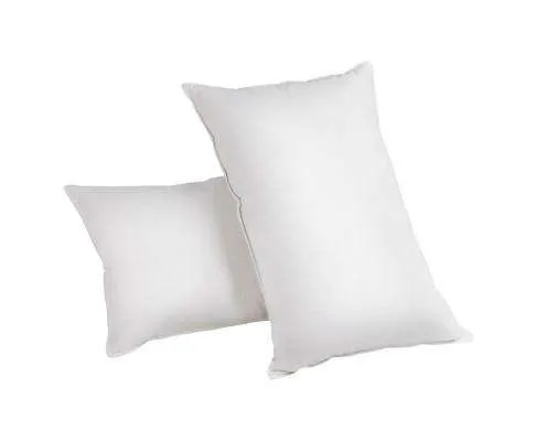 Set of 2 Goose Feather and Down Pillow - White