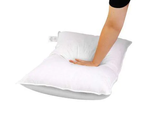 Set of 2 Goose Feather and Down Pillow - White