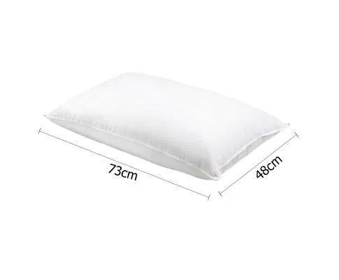 Set of 2 Goose Feather and Down Pillow - White