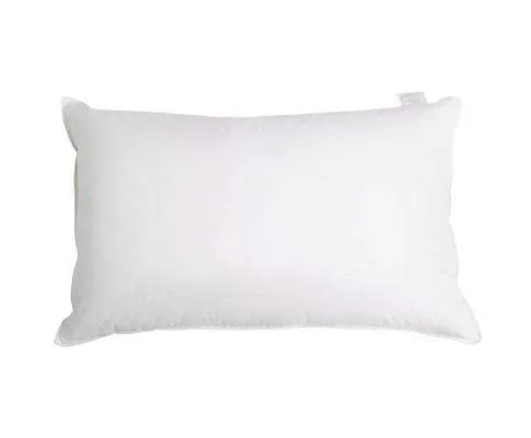 Set of 2 Goose Feather and Down Pillow - White