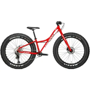 SF2 Fatbike
