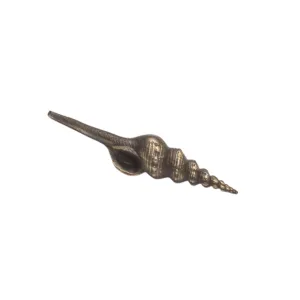 Spindle Shell