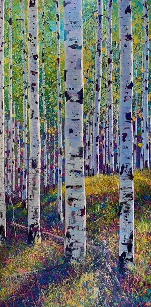 Spring Forest