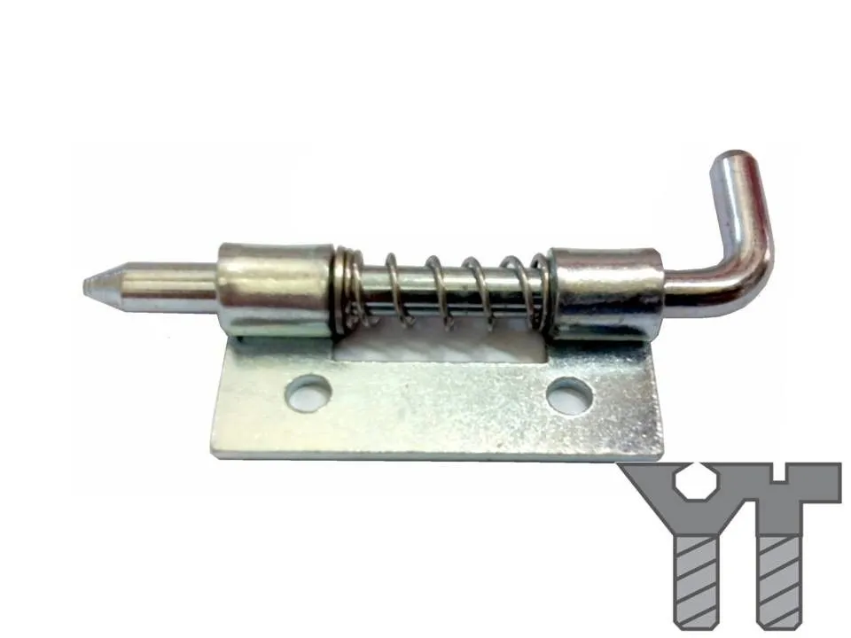 SPRING HINGE