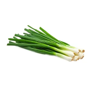 Spring Onion
