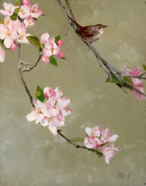 Spring Wren