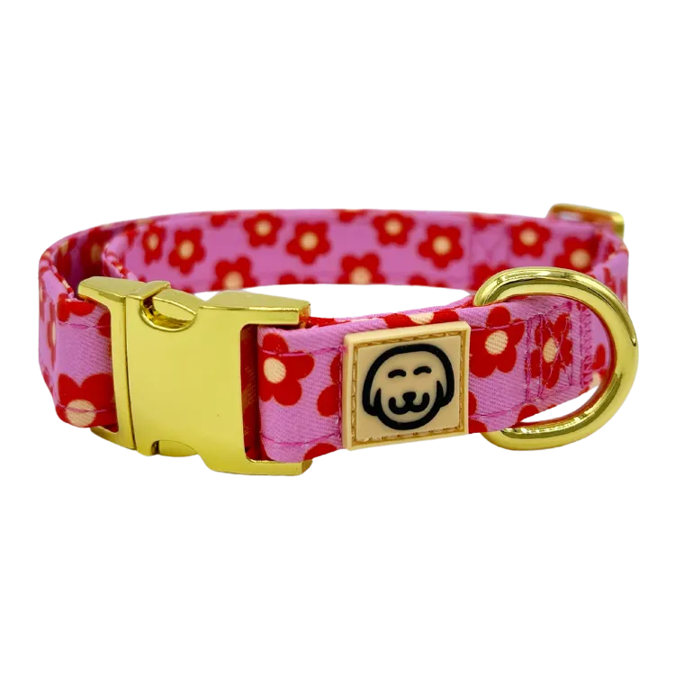 Wildflower - Dog Collar