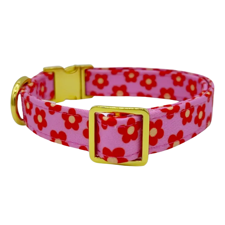 Wildflower - Dog Collar