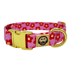 Wildflower - Dog Collar