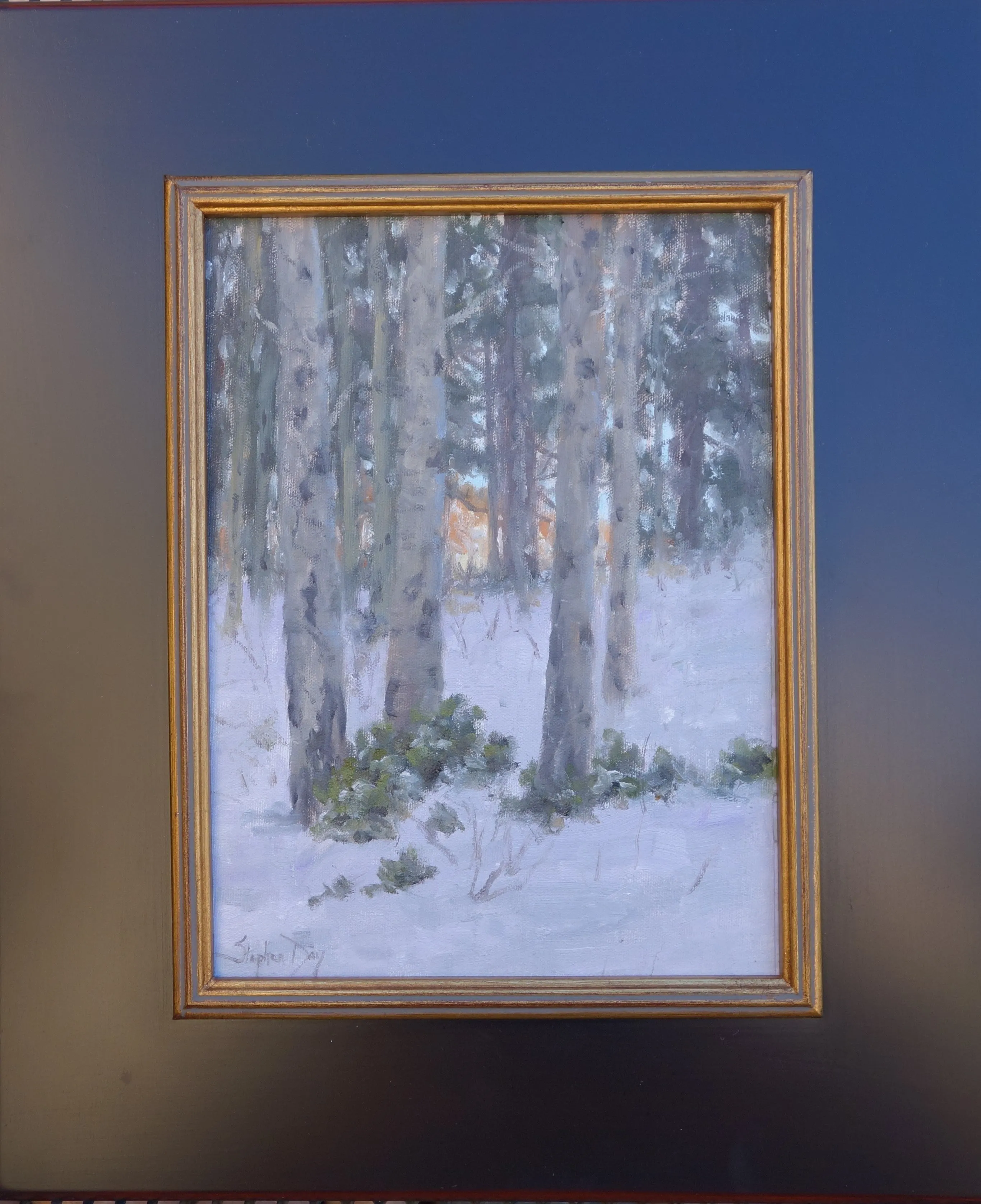 Winter Evening