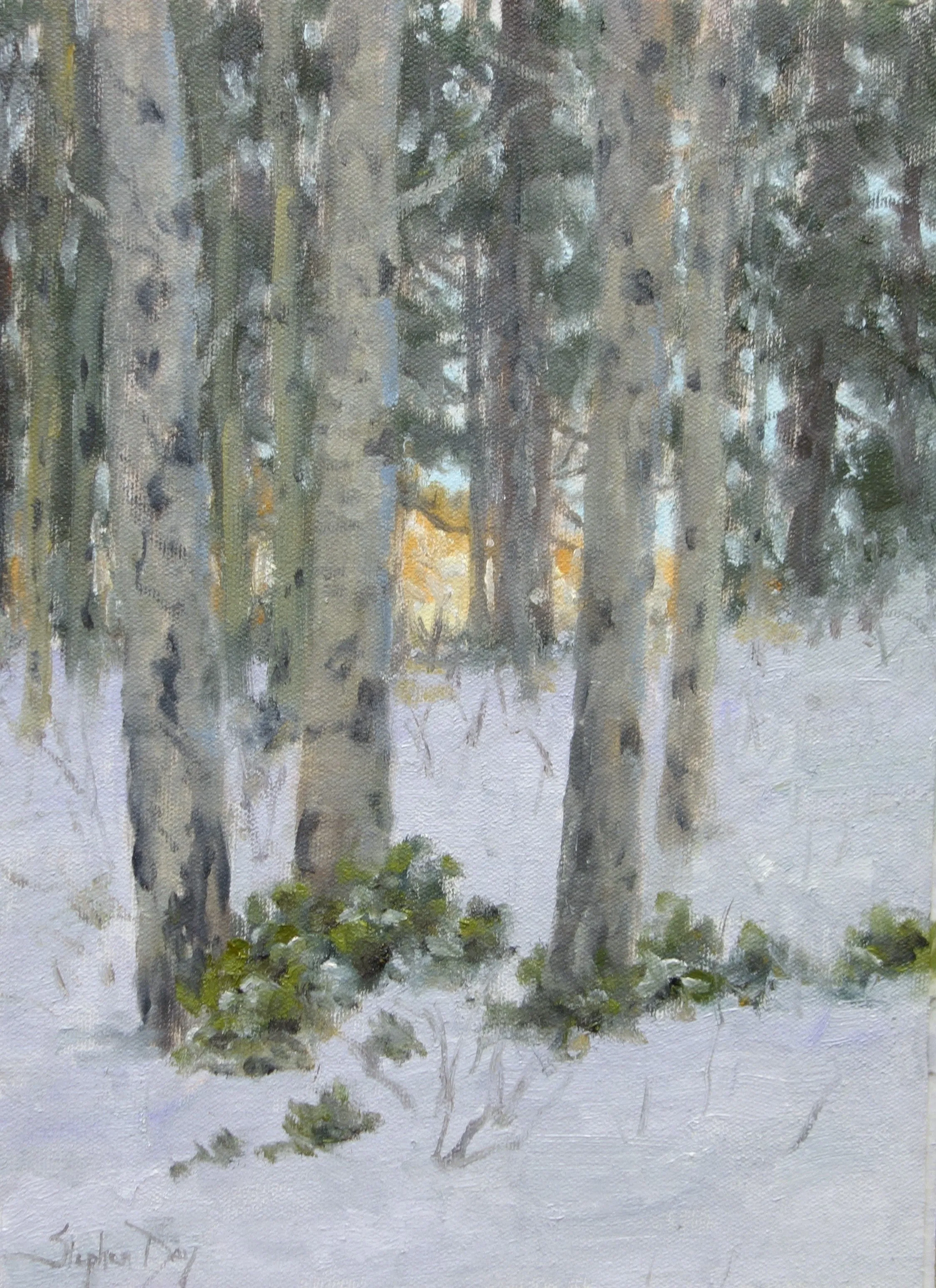 Winter Evening