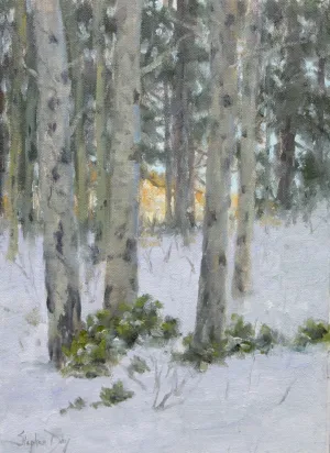 Winter Evening